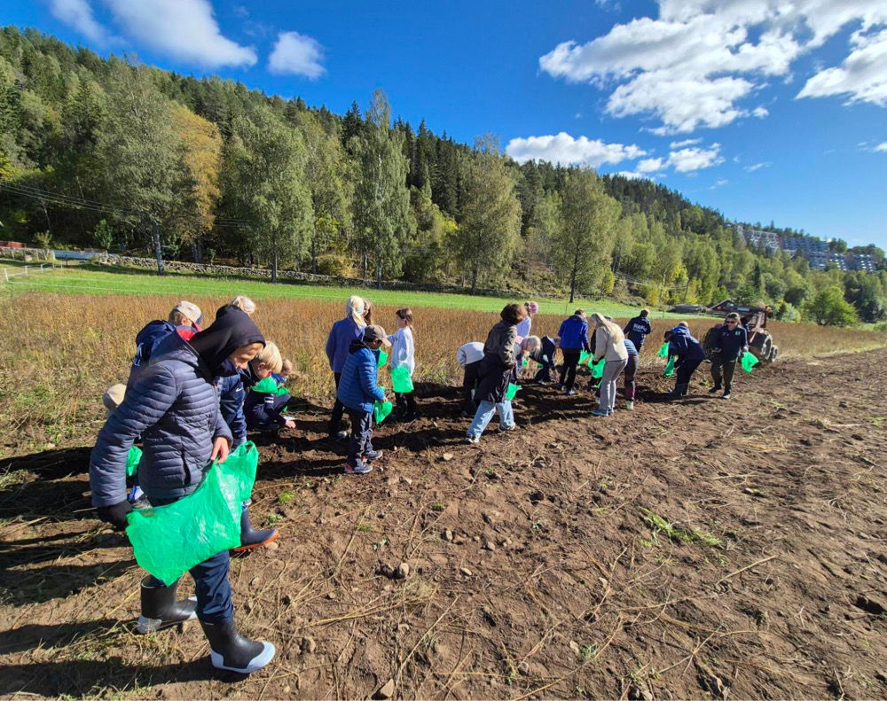 En gruppe mennesker i et felt