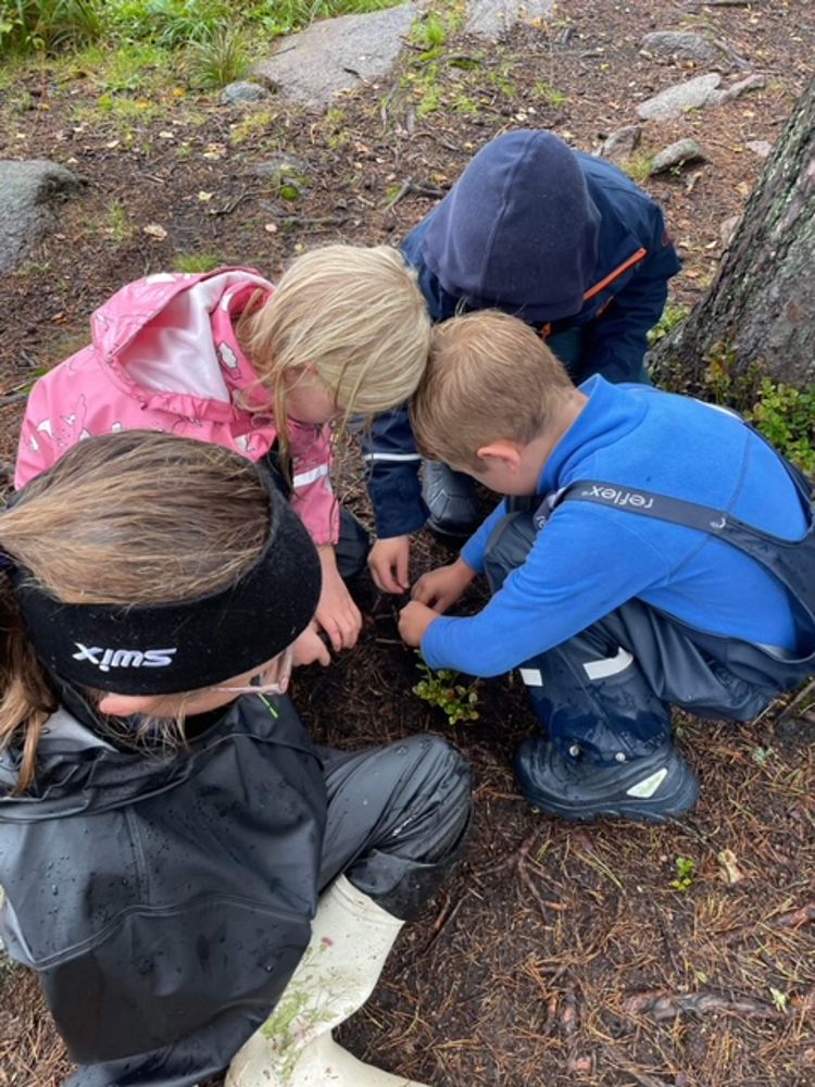 En gruppe barn i skogen